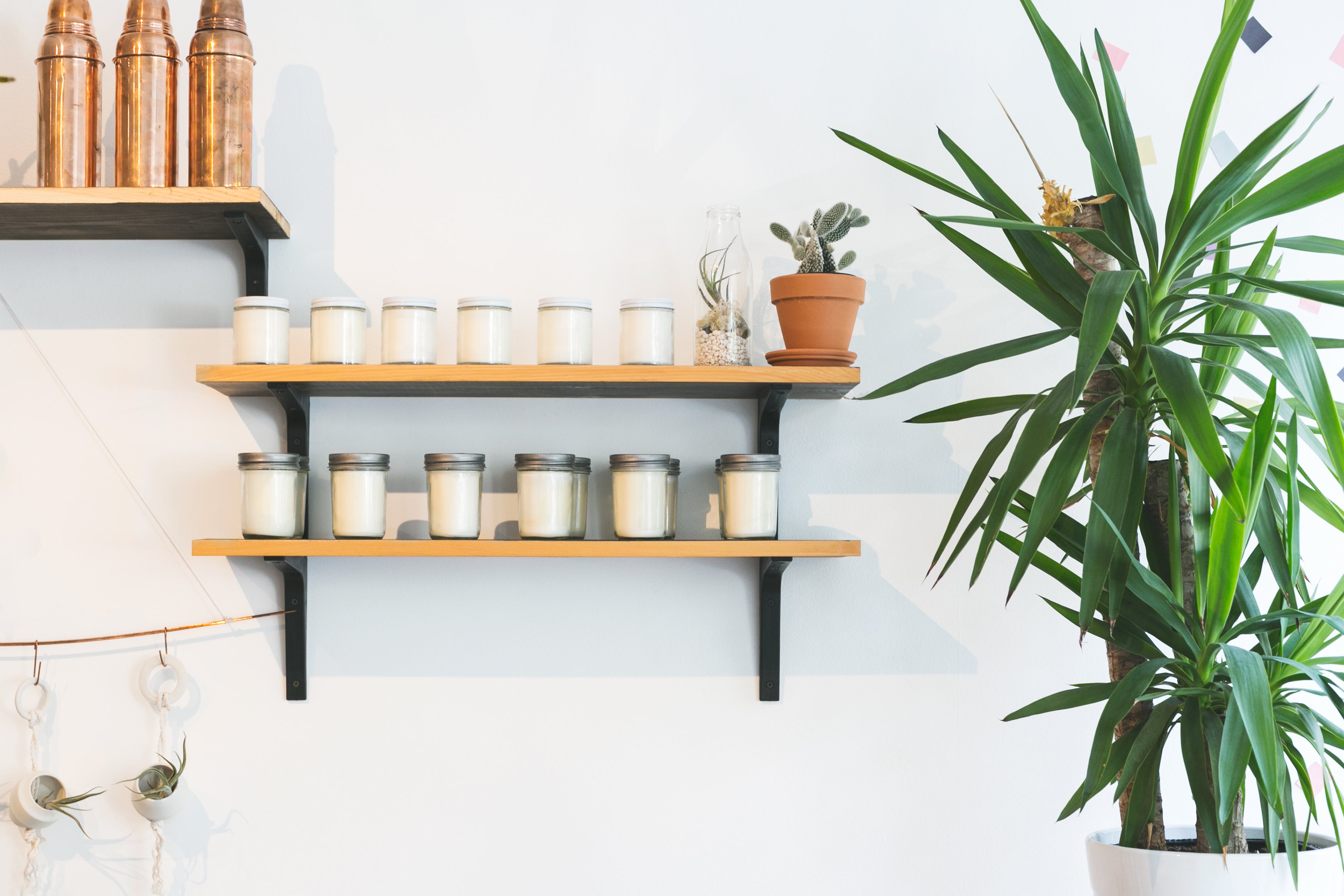 Elevate Everyday With VIVUSHO